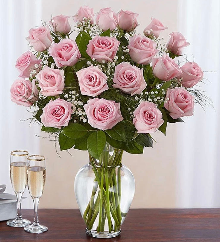 24 Pinky (Pink Roses)